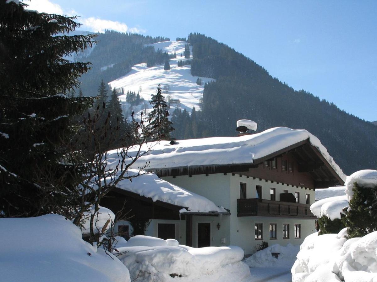 Apartment In Salzburgerland Near The Ski Area Viehhofen Exterior foto