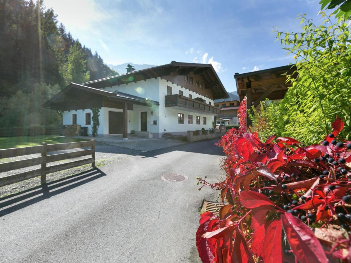 Apartment In Salzburgerland Near The Ski Area Viehhofen Exterior foto