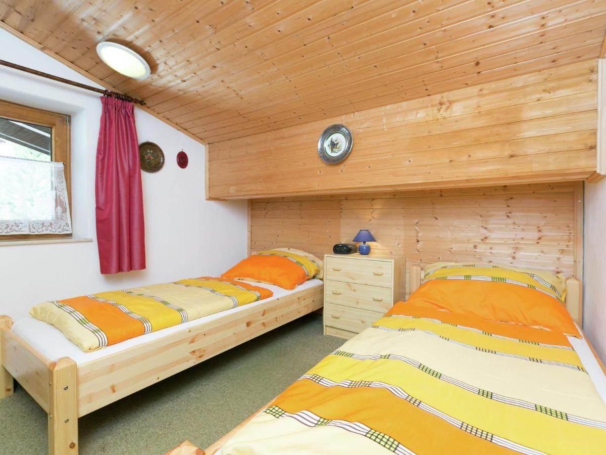 Apartment In Salzburgerland Near The Ski Area Viehhofen Exterior foto