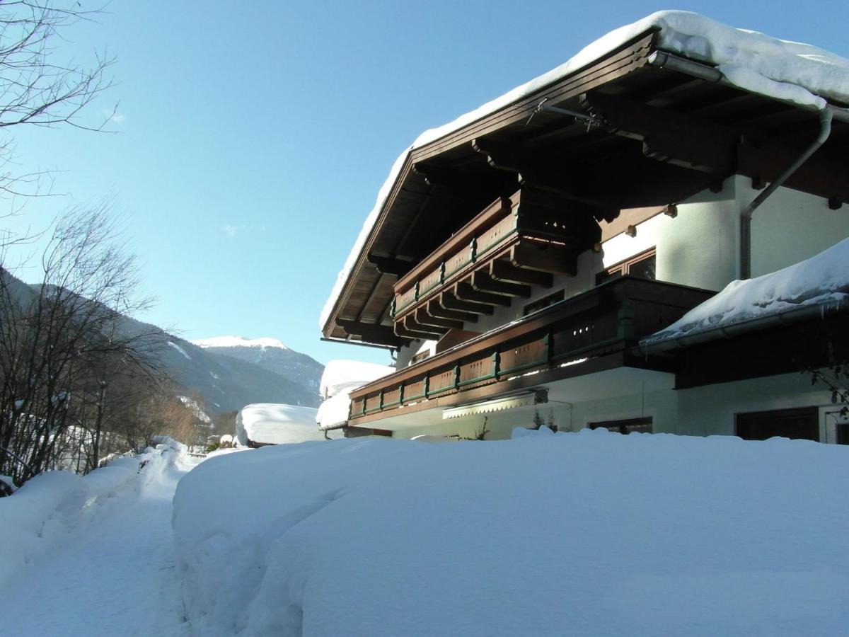 Apartment In Salzburgerland Near The Ski Area Viehhofen Exterior foto